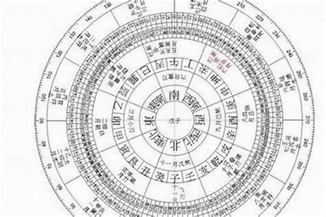 天干地支算命|八字算命器